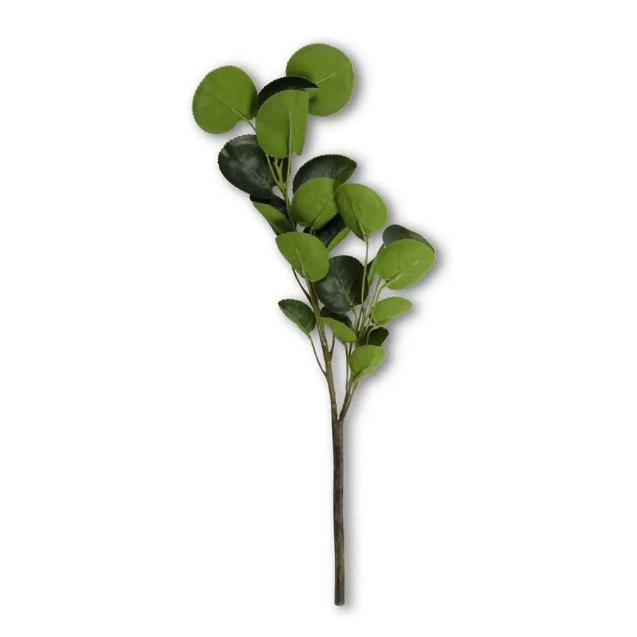 2 Branch Eucalyptus Stem - 16 inch