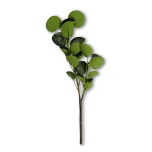 2 Branch Eucalyptus Stem - 16 inch