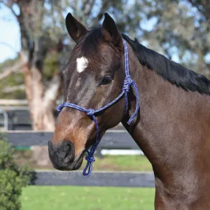 Cotton Rope Halter