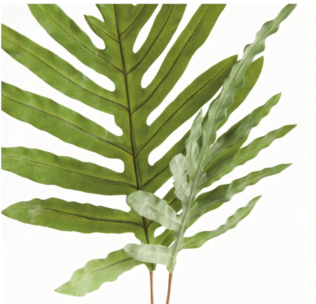 Hare's Foot Branch