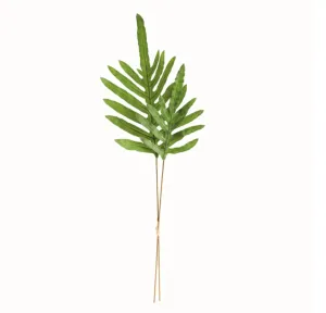 Hare's Foot Branch
